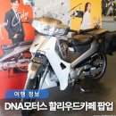디앤에이 | DNA모터스 천안 할리우드카페에서 본 디앤에이모터스 신상 씨티베스트PS 후기