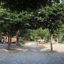 새막골 캠프 이미지