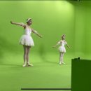 정인발레아카데미