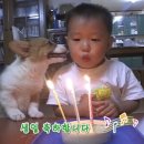 명품한정식 범계 | 엄마 환갑 이벤트 대성공🎂 (용돈이벤트, 숫자케이크, 식당, 감사패, 여행상품권, 꽃다발)