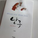 리빗팜 | 금붕어 오란다 난주 유금 질병대처법! 이렇게만 하면 치료할 수 있다