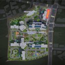 더 퍼스트 이미지