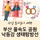 하단동1195 | 부산 을숙도 공원, 낙동강 생태탐방선