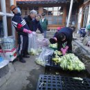 백마농장 이미지