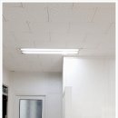 (주)아이비오토테크 이미지