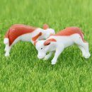 윤성농장 이미지