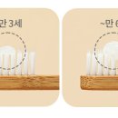 닥터마루
