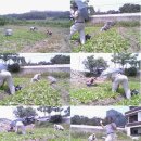 전통사랑 이미지