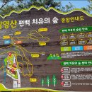 고흥 팔영산 편백치유의 숲 이미지