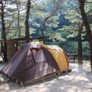 엄둔 솔밭 빌리지 이미지