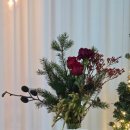 싱싱해피팜