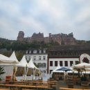 도기슈퍼 | 2025 10월 독일 일주일 후기 -2 // 하이델베르그 &amp; 이것저것