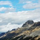 제스퍼(JASPER) 이미지