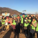 (신탄진동) 정월대보름 쥐불놀이 축제 이미지