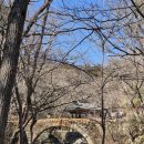 수정식당 | 순천 선암사 맛집 수정식당 산채비빔밥 후기