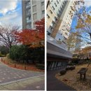 현지인공인중개사사무소 이미지