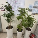 인천평화의료복지사회적협동조합평화의원 | 인천평화의료복지 사회적협동조합~옥상정원에 가을이 깊어가고 있다