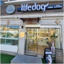 라이프독 강릉점 24시 강아지분양 고양이분양 이미지