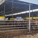 백암축사 이미지