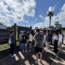 안성중학교 | 제주도 단체여행 전세버스 가격, 어디까지가 기본 요금인가