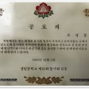 쌍용석유 Daum카페