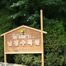 남경오토 이미지