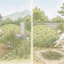 효심장묘 - 금산군 은행나무길 45 | 효심장묘