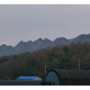 성애농장 이미지