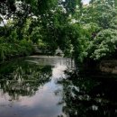 팔경부동산중개 | 밀양 위양못 위 완재정과 이팝나무 풍경_밀양 8경