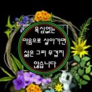 953 이미지