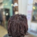 산책헤나
