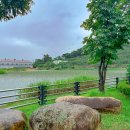 용안어린이집 이미지