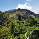 좋은아침 이미지