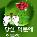 보리상사 Daum카페