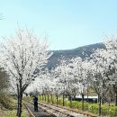양지촌네스트