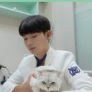 뉴엘동물의료센터 이미지