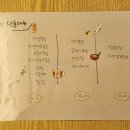 이태원떡볶이 이미지