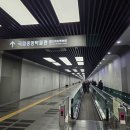 사유의시대-중국을담다 | 국립중앙박물관 토요일 웨이팅 실시간 후기 | 사유의 방 반가사유상 관람기