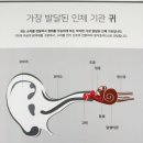 달팽이독일보청기부산 | [남포동보청기] 부모님 귀 건강을 위해 다녀온 독일보청기 부산남포센터 리얼 후기! 🦻✨