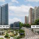 제일약국 | 인천 평당 2000만 원 시대 | 신축 vs 구축 선택 기준과 생활권 체크포인트