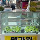 촌빨떡볶이산동점 이미지