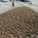 신기방기 이미지