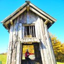 방림축산 | 대관령 양떼목장 대관령 가볼만한곳 먹이주기 체험