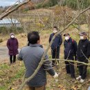 함평군농업기술센터 이미지