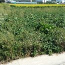 직산농장 이미지