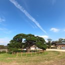 85호 | 원지정사 연좌루(遠志精舍 燕坐樓. 중요민속자료 제85호)