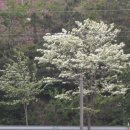 늘해랑농원 이미지