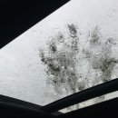 파인앤애플 펜션 이미지