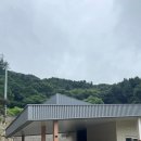담담채 이미지
