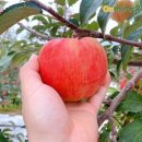 미락농장 이미지